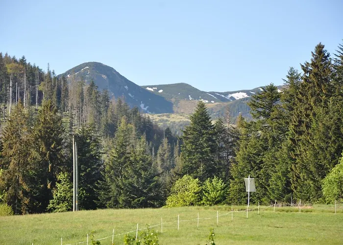 APARTAMENTY U Bliźniaków